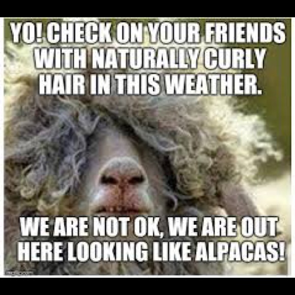 Meet your Posher, Ami - Picture 1 of 8